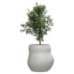 Fioriera Pebble Midi Grey di Indigenus
