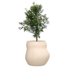 Fioriera Pebble Midi Sandstone di Indigenus
