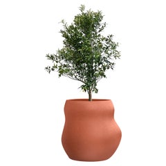 Jardinera de Terracota Pebble Midi de Indigenus