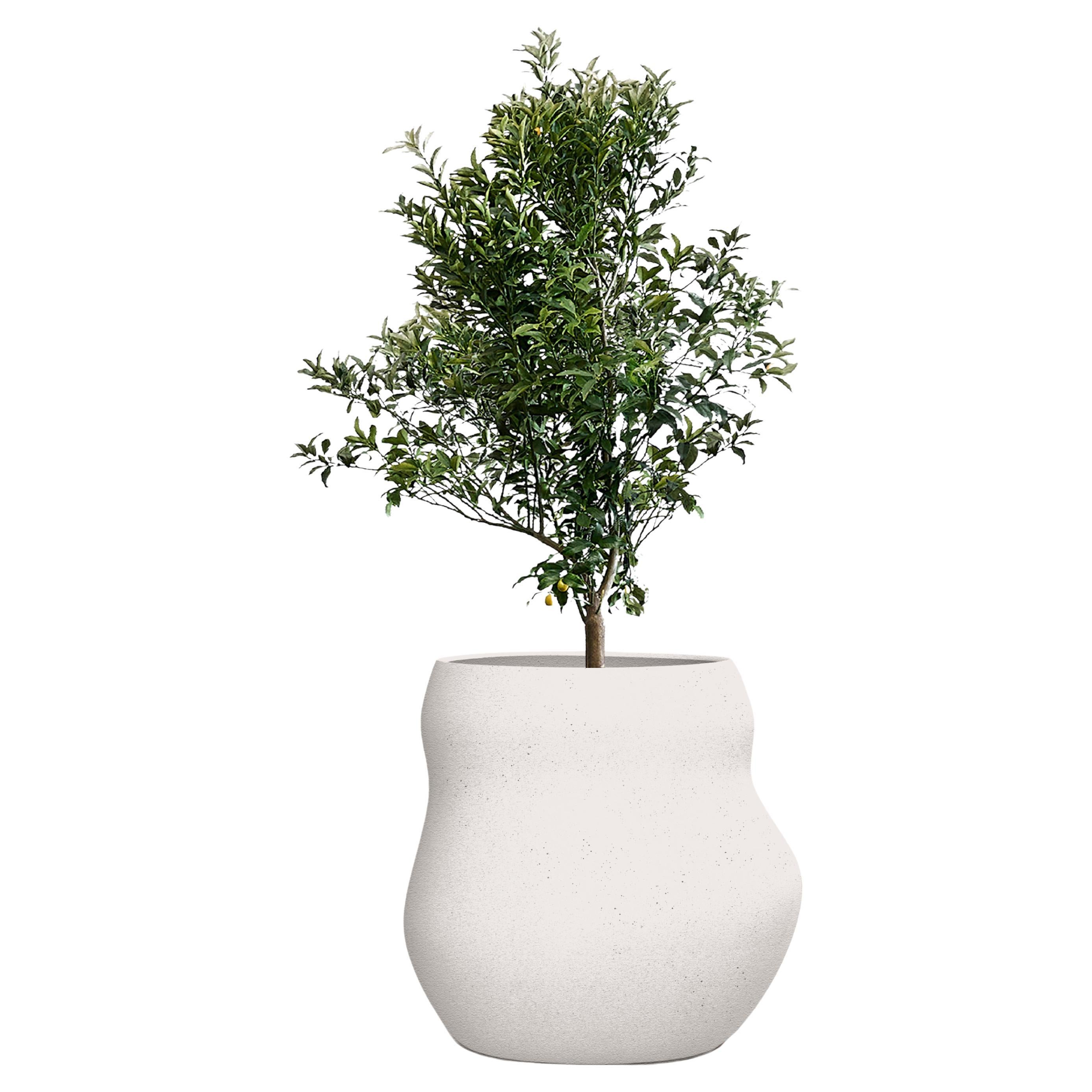 Pebble Midi White Planter by Indigenus