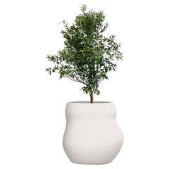 Jardinière Pebble Midi blanche par Indigenus