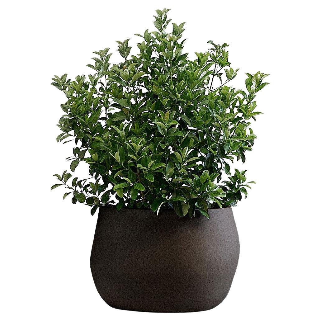 Pebble Small Black Planter by Indigenus For Sale
