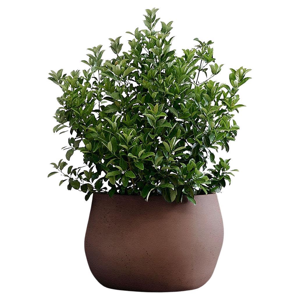Pebble Small Brown Planter by Indigenus
