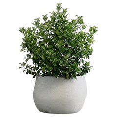 Petite jardinière grise Pebble par Indigenus