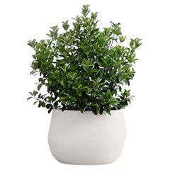 Fioriera Pebble Small White di Indigenus