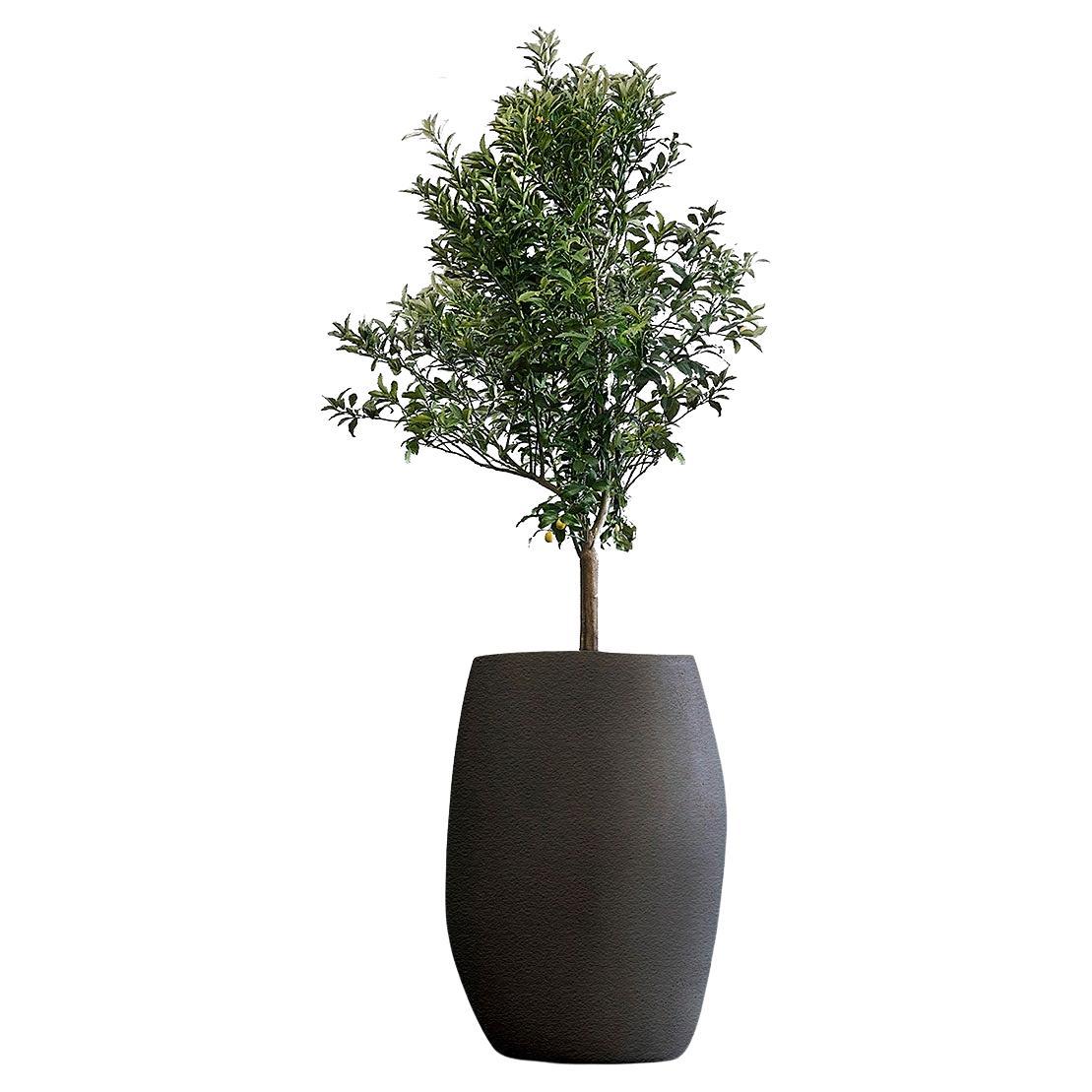 Pebble Tall Black Planter by Indigenus