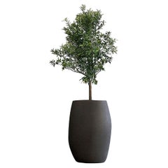 Pebble Tall Black Planter by Indigenus
