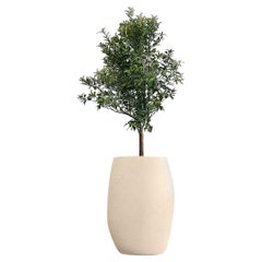 Pebble Tall Sandstone Planter by Indigenus