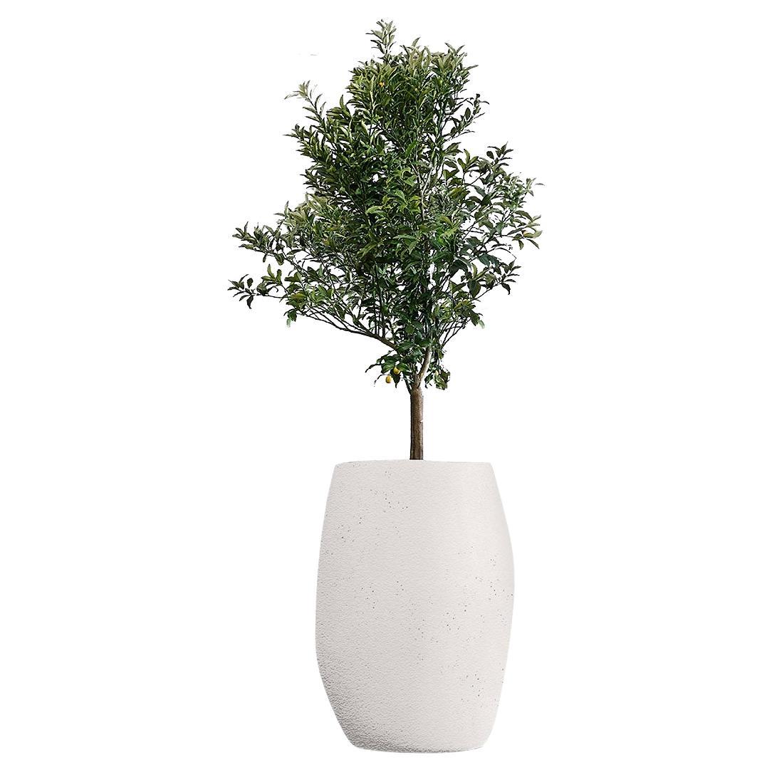 Pebble Tall White Planter by Indigenus