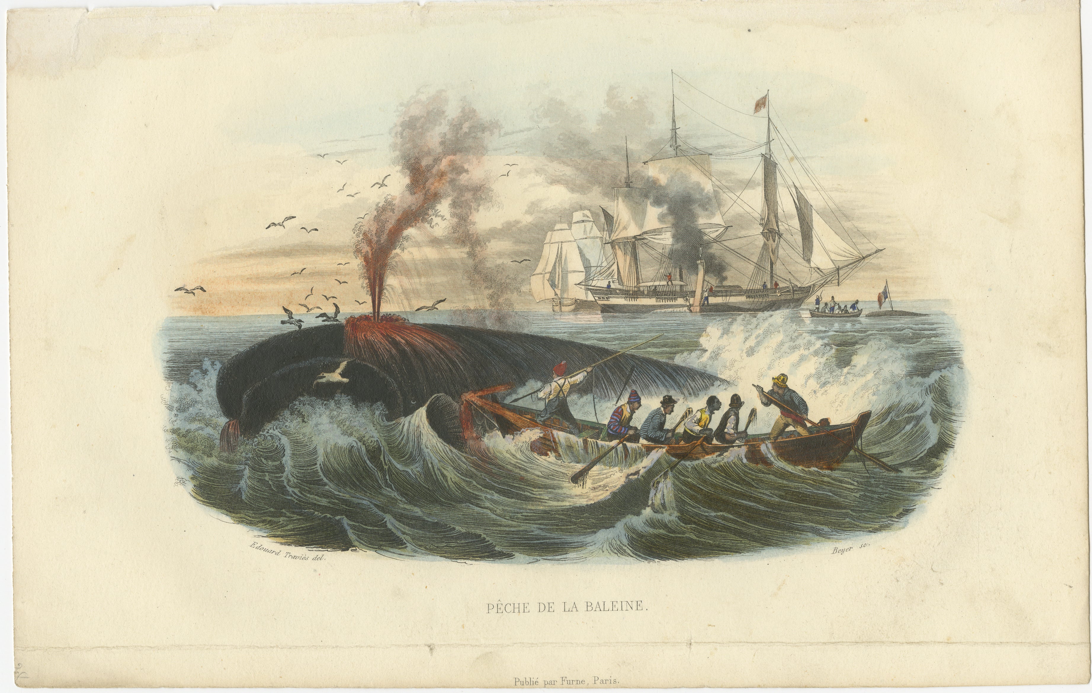 Pêche de la Baleine (Whale Hunt), Hand-Colored Engraving, 1840
