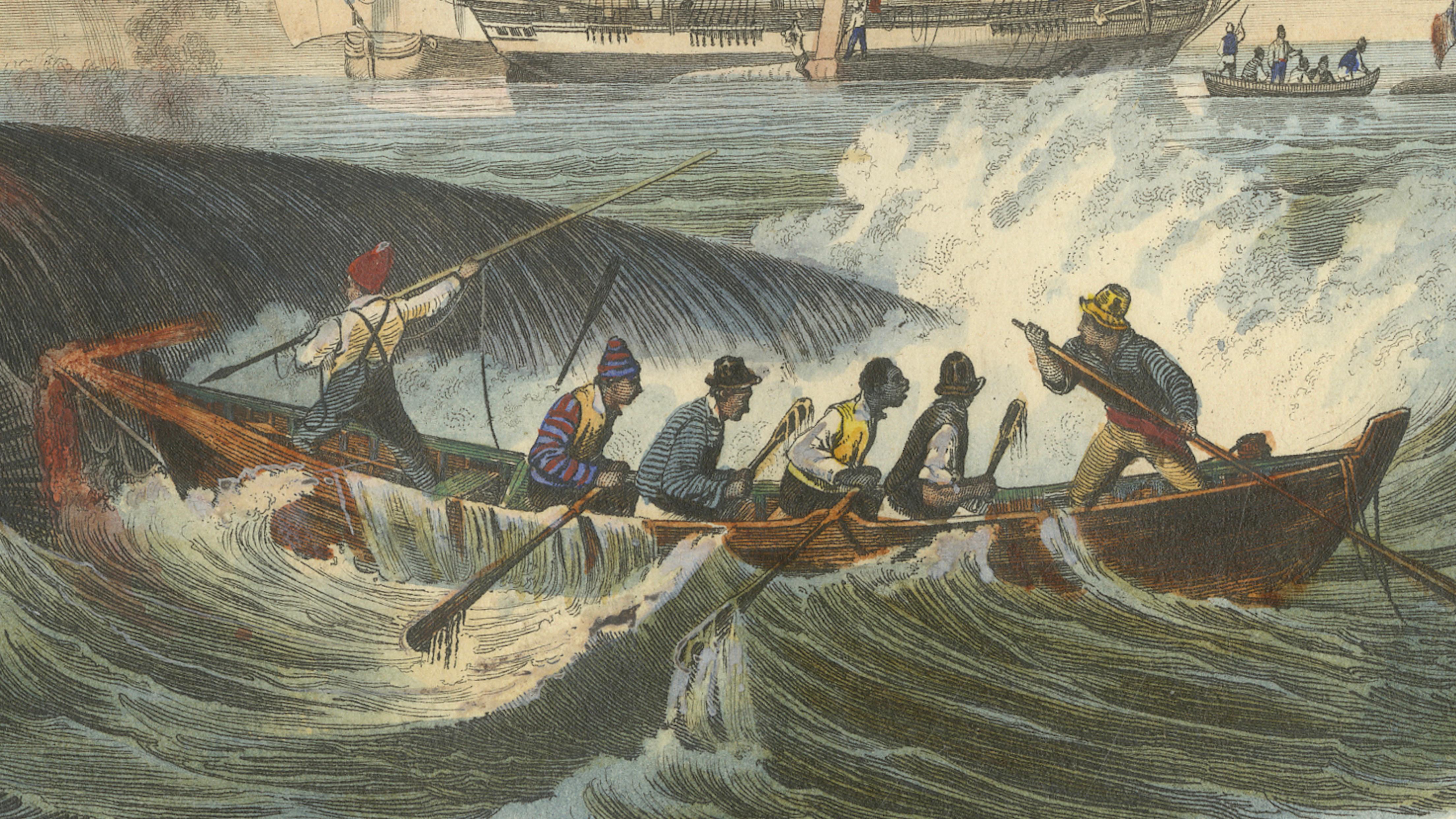 Pêche de la Baleine (Whale Hunt), Hand-Colored Engraving, 1840