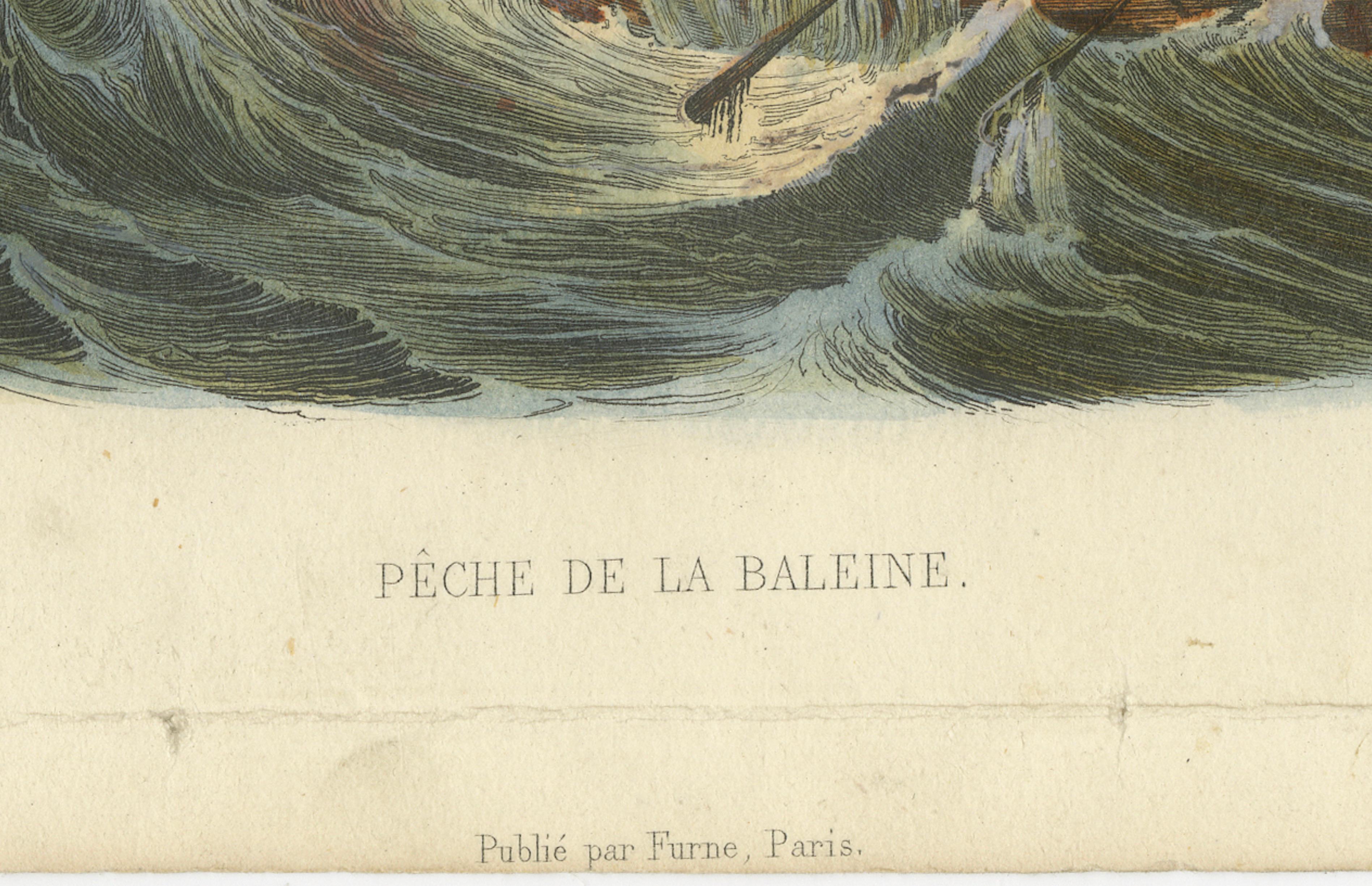Pêche de la Baleine (Whale Hunt), Hand-Colored Engraving, 1840