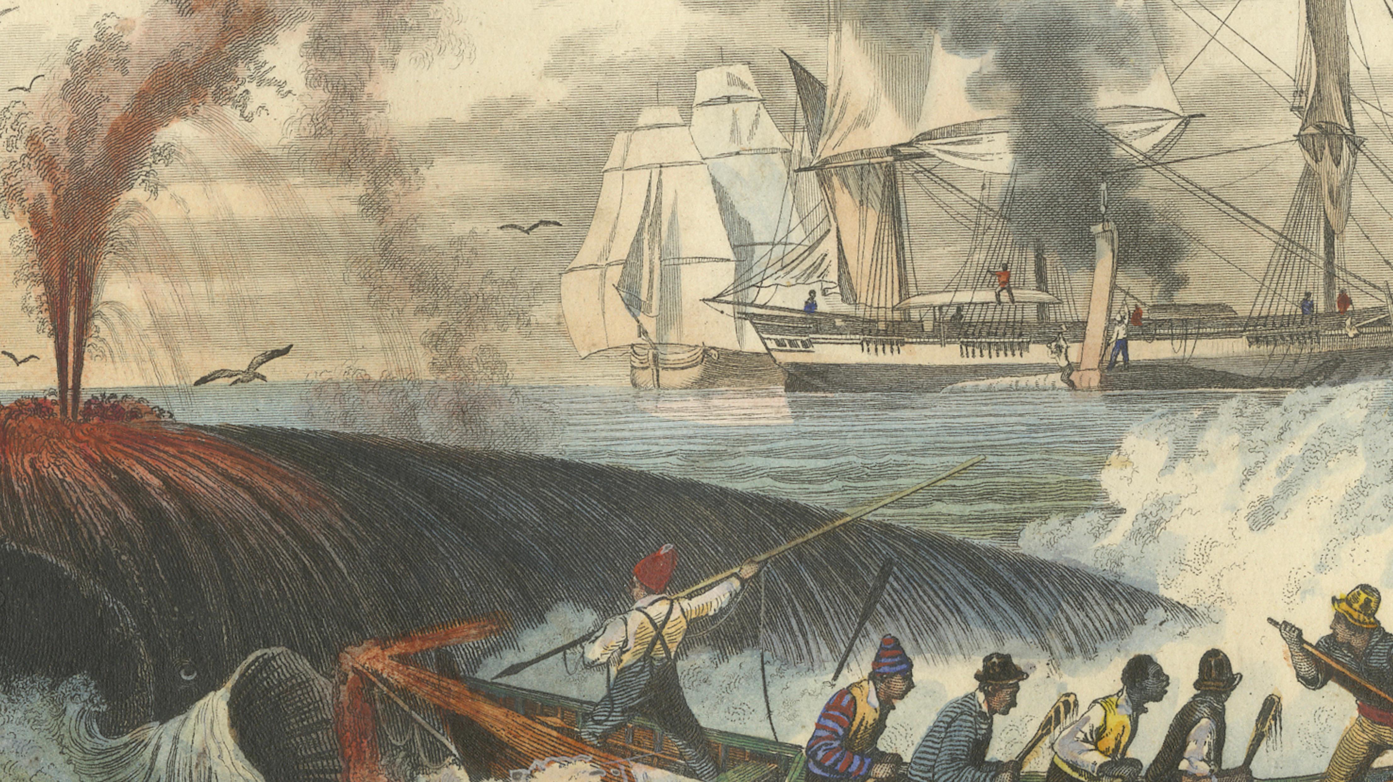 Pêche de la Baleine (Whale Hunt), Hand-Colored Engraving, 1840