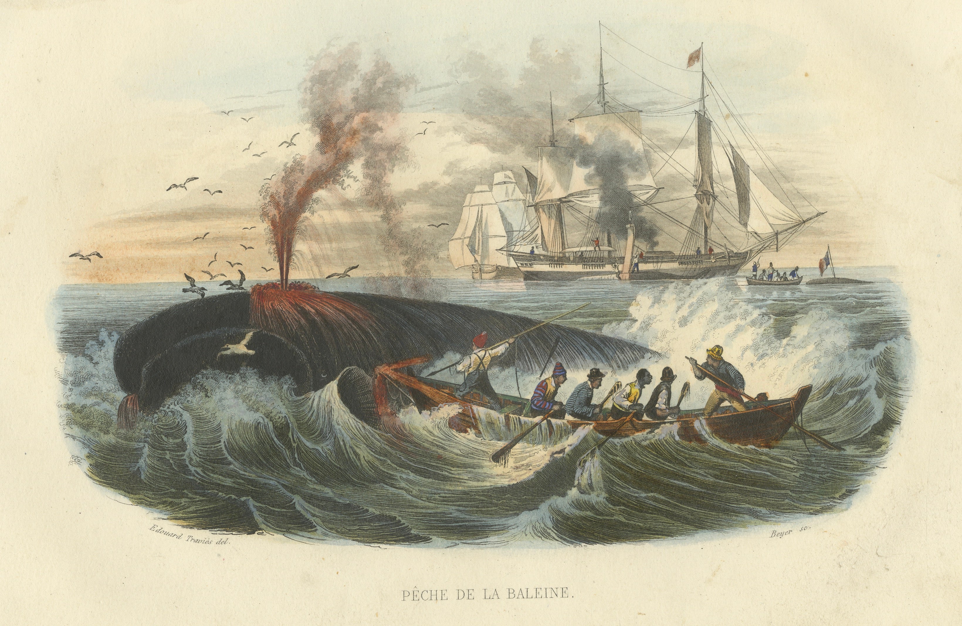 Pêche de la Baleine (Whale Hunt), Hand-Colored Engraving, 1840