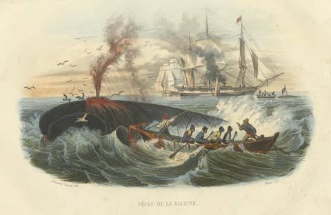 Pêche de la Baleine (Whale Hunt), Hand-Colored Engraving, 1840