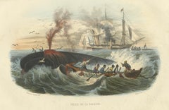 Pêche de la Baleine (Whale Hunt), Hand-Colored Engraving, 1840
