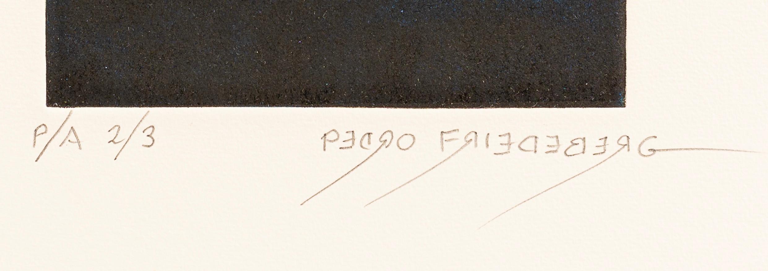 The repetition of patterns and rhythm is present in almost every piece of Pedro´s work.

The hybrid topographies that Pedro Friedeberg´s unclassifiable practice recreates we must recur to the Baroque and the neo-Baroque, both understood as