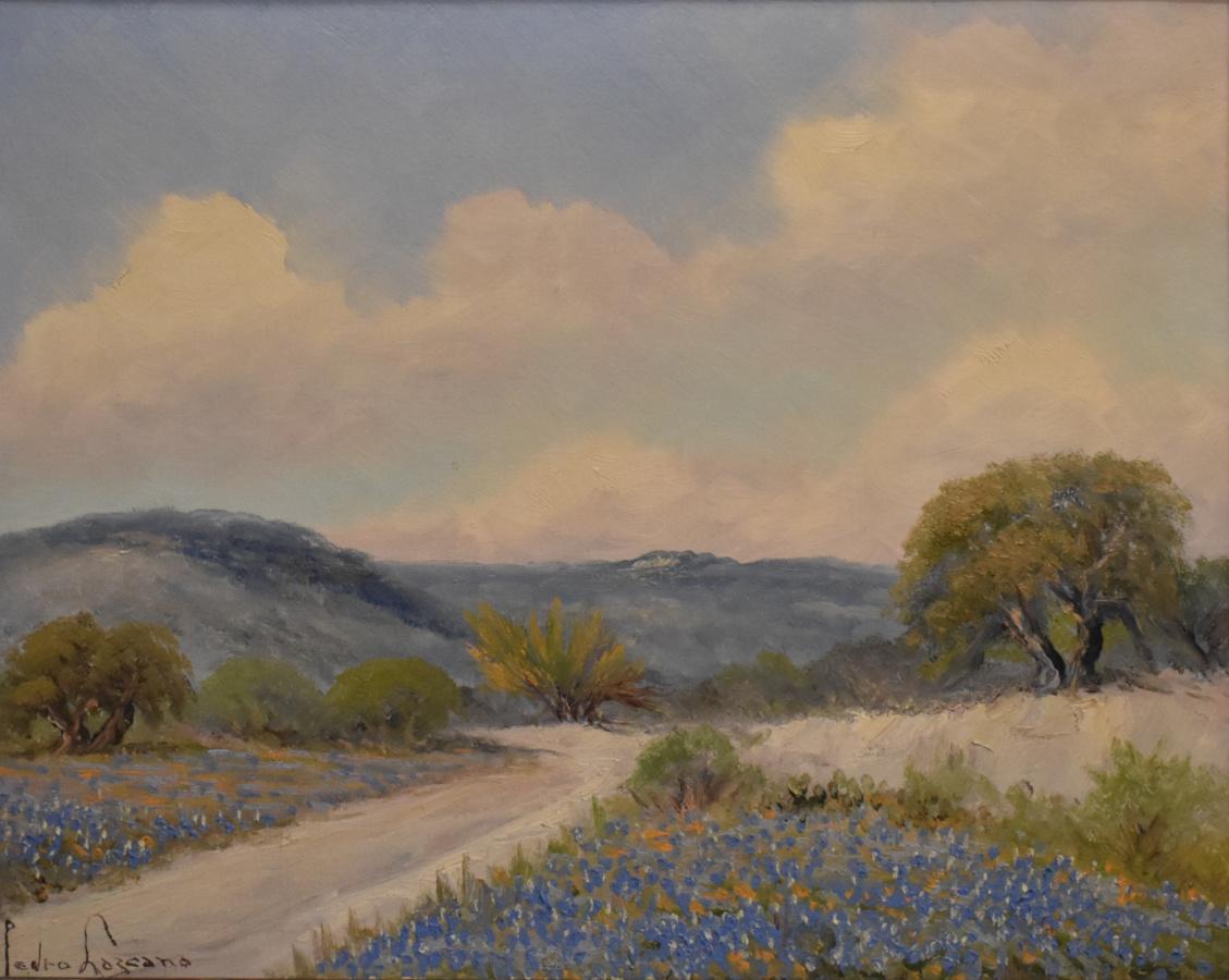 „BLUEBONNET AND HUISACHE“ TEXAS HILL COUNTRY FRAMED 23 X 27 – Painting von Pedro Lazcano