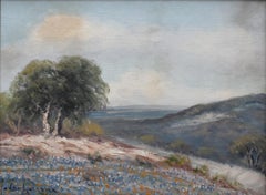 „BLUEBONNET HILLTOP“ TEXAS HILL COUNTRY FRAMED 17,25 X 21,25