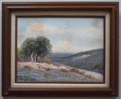 Used "BLUEBONNET HILLTOP" TEXAS HILL COUNTRY FRAMED 17.25 X 21.25