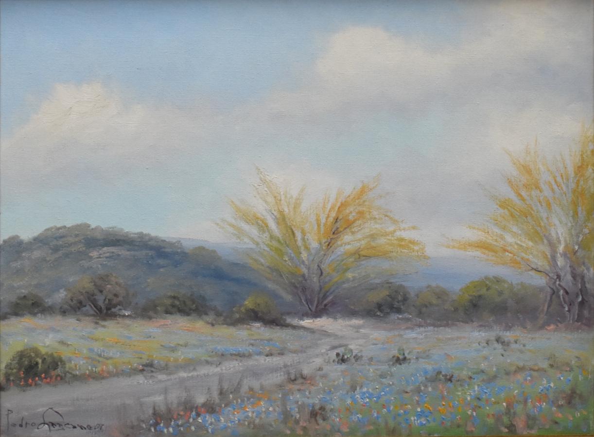 „BLUEBONNET PATH WITH HUISACHE“ TEXAS HILL COUNTRY FRAMED 25,5 X 31,5 – Painting von Pedro Lazcano