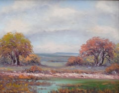 „LONG VIEW“ TEXAS LAkes AND COUNTRYSIDE FRAMED 24,75 X 28.75 texanisches Hill Country