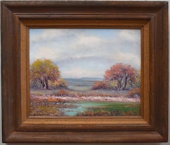 Retro "LONG VIEW" TEXAS LAKES AND COUNTRYSIDE FRAMED 24.75 X 28.75  Texas Hill Country