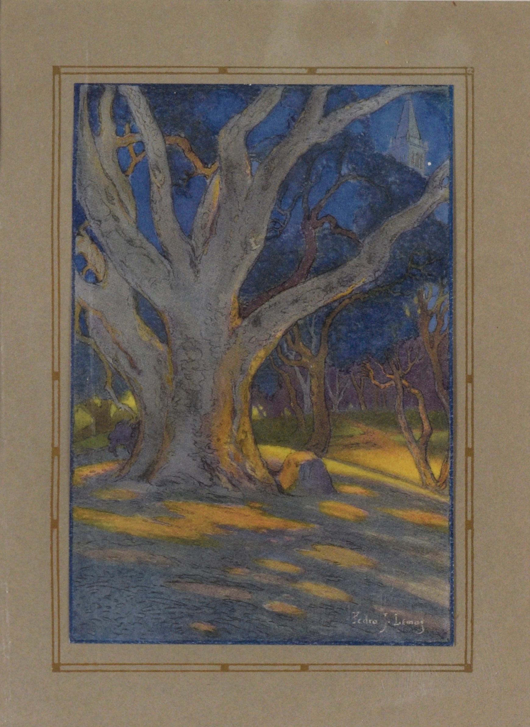 „Henry Morse Stephens Memorial Oak“ - 1921 UC Berkeley Jahrbuch Farblithographie der UC Berkeley – Photograph von Pedro Lemos