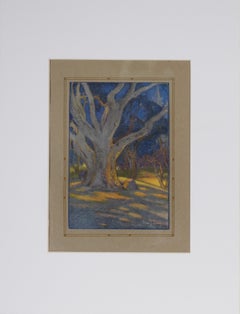 « Henry Morse Stephens Memorial Oak » - 1921, lithographie couleur du carnet d'années de l'UC Berkeley