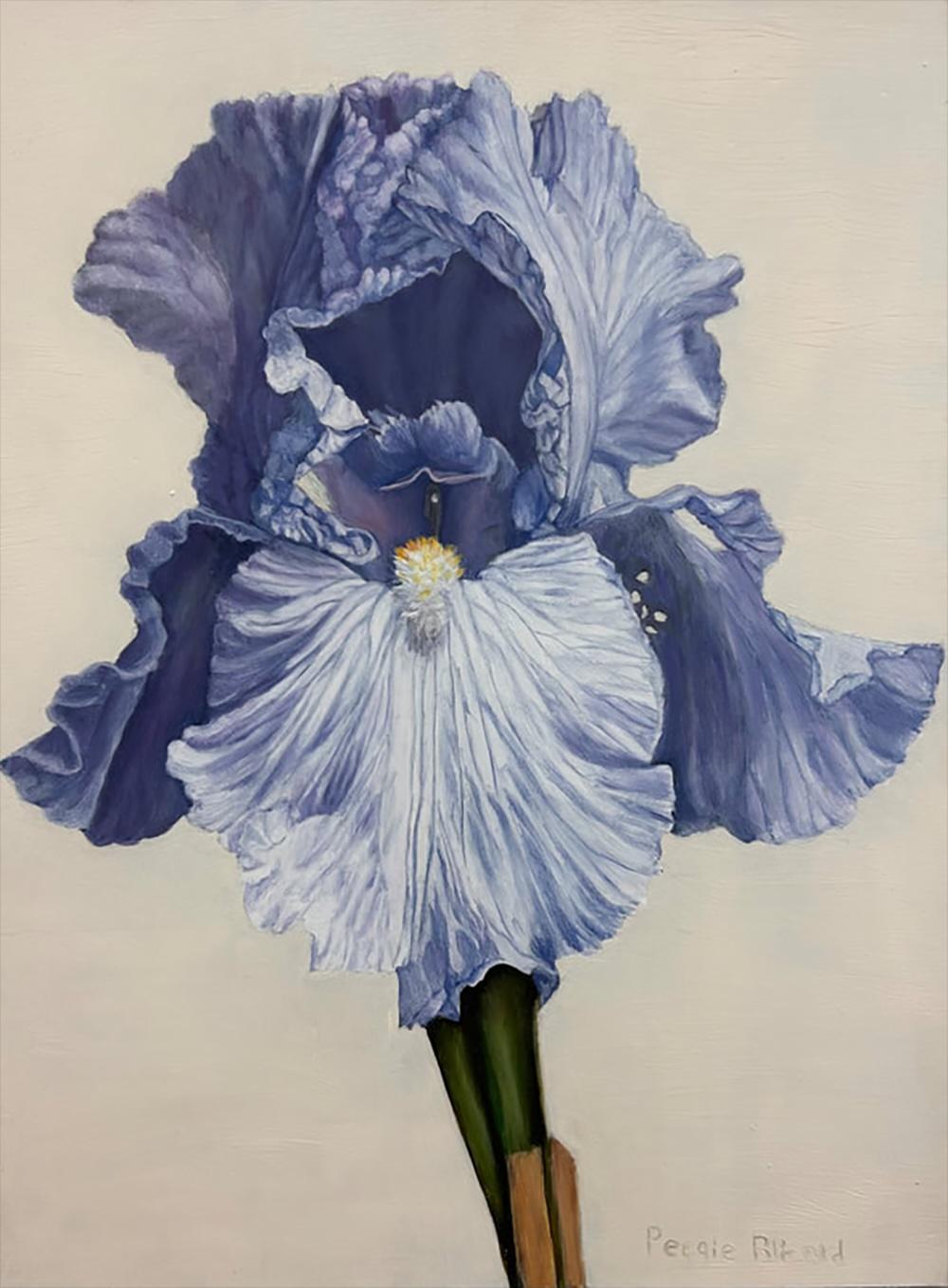Iris 3