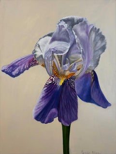 Iris 4