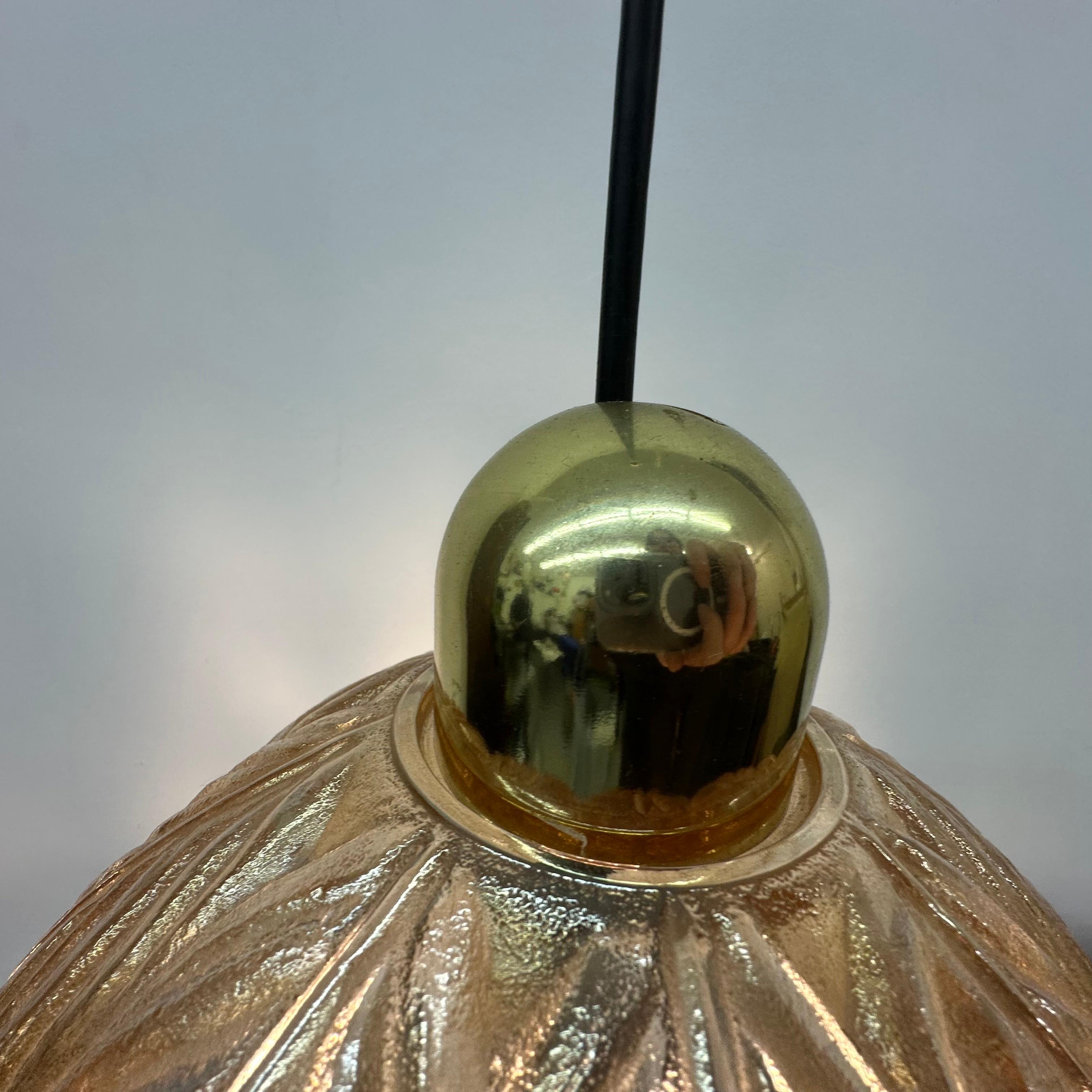 Peil & Putzer glass leaf hanging lamp , 1970’s For Sale 8