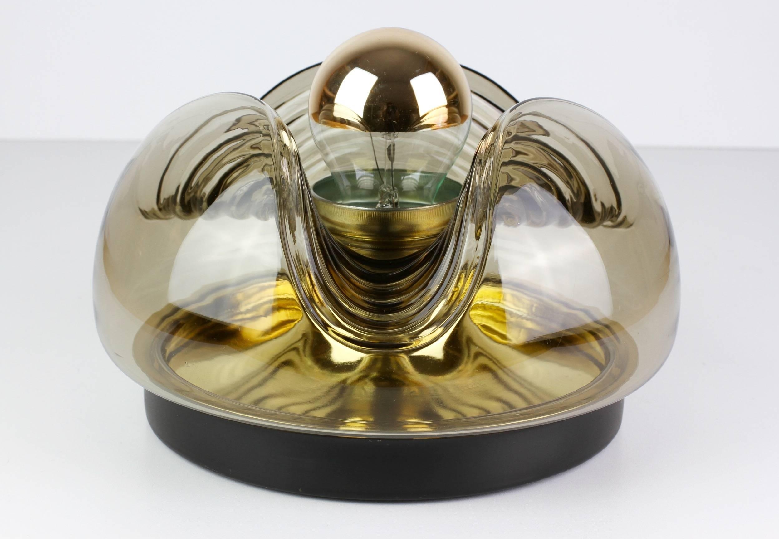 Blown Glass Peill & Putzler 1970s Smoked Glass and Brass Biomorphic Wall Light Sconce
