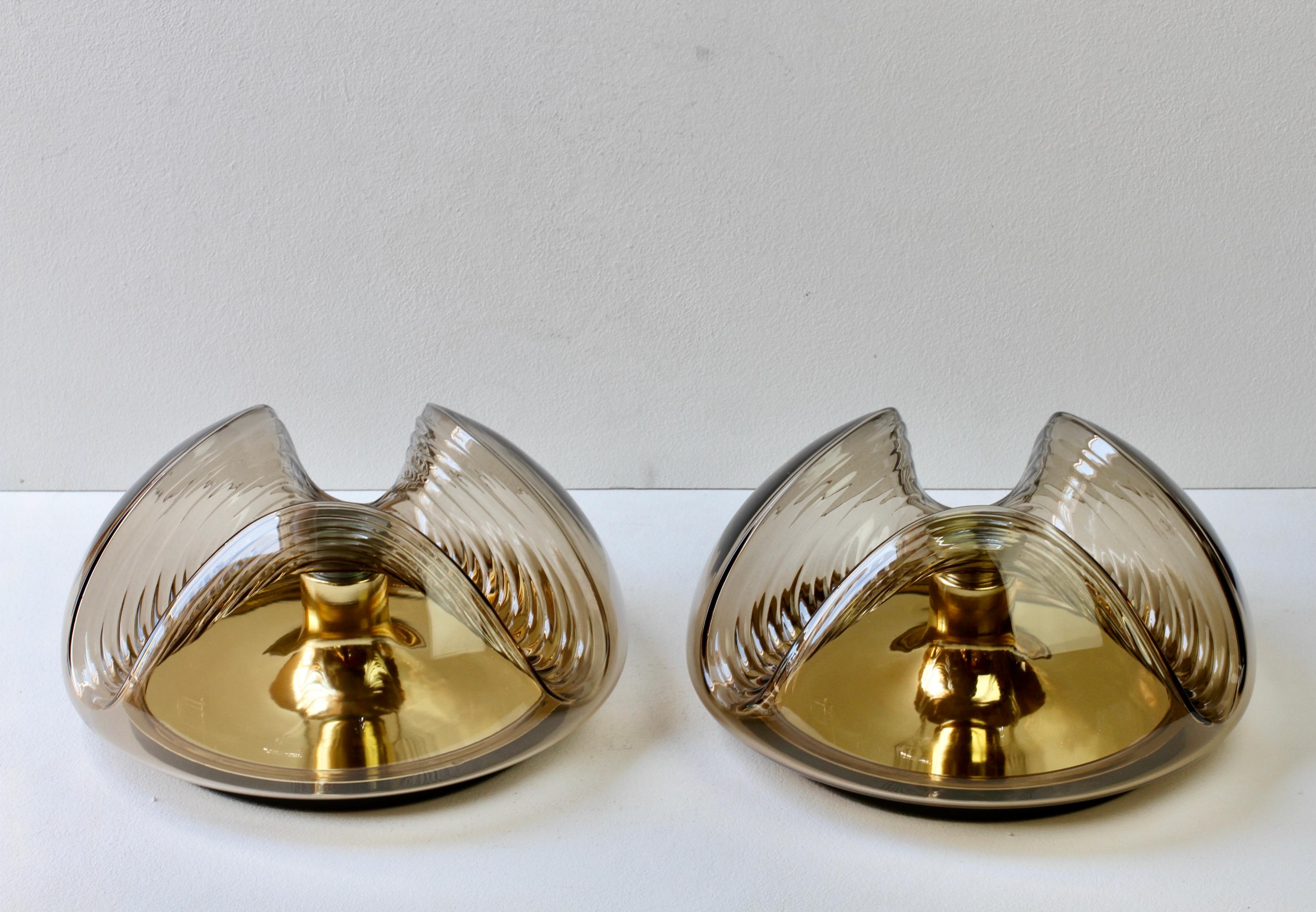 Peill & Putzler Large Pair of 1970s Smoked Glass Biomorphic Wall Sconces Lights For Sale 3