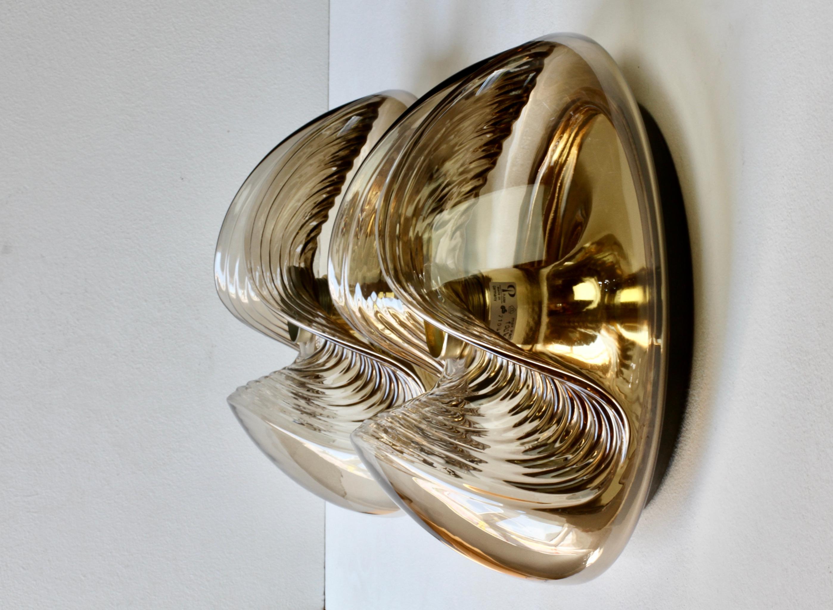 German Peill & Putzler Large Pair of 1970s Smoked Glass Biomorphic Wall Sconces Lights For Sale