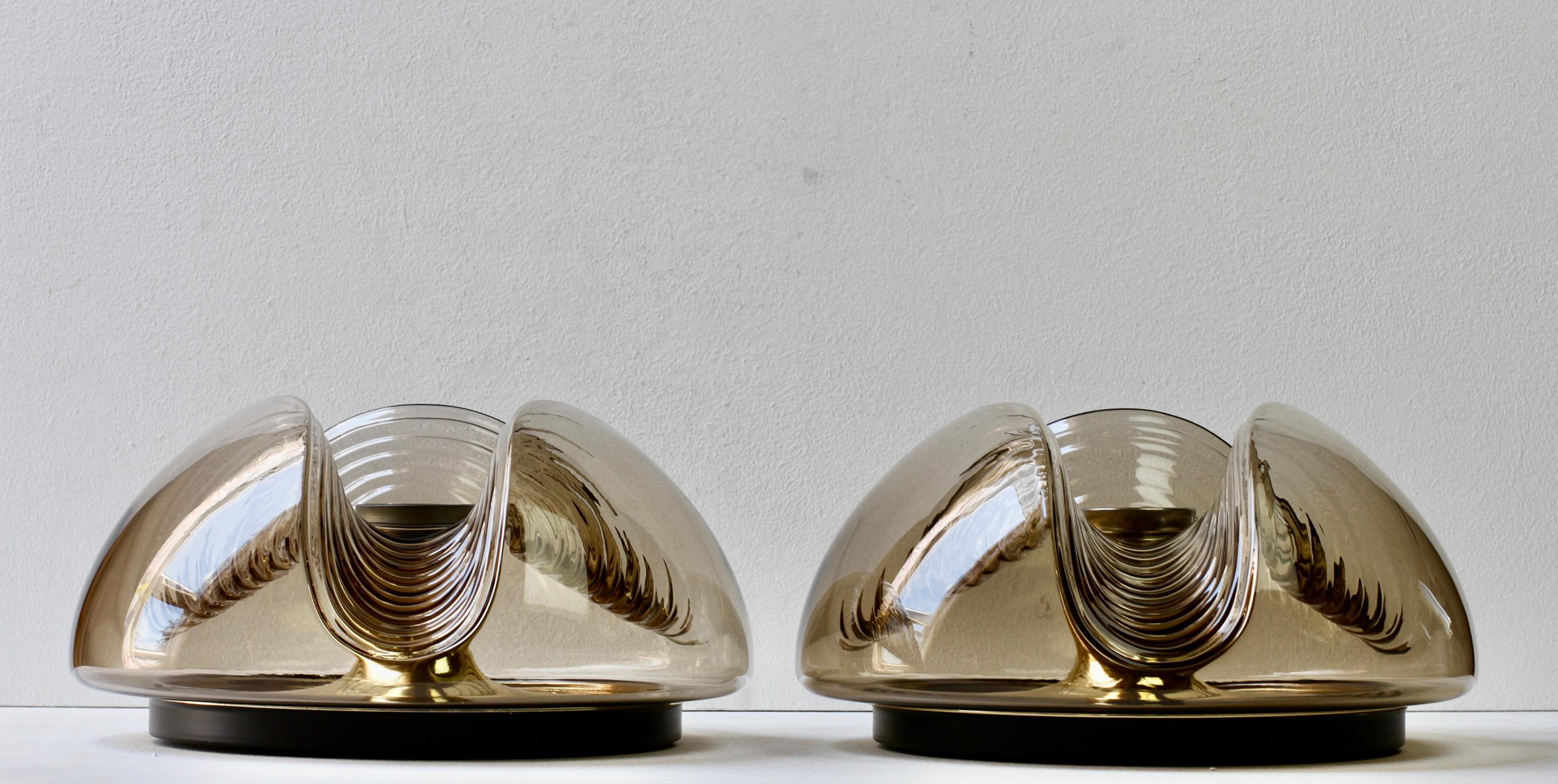 Peill & Putzler Large Pair of 1970s Smoked Glass Biomorphic Wall Sconces Lights In Good Condition For Sale In Landau an der Isar, Bayern