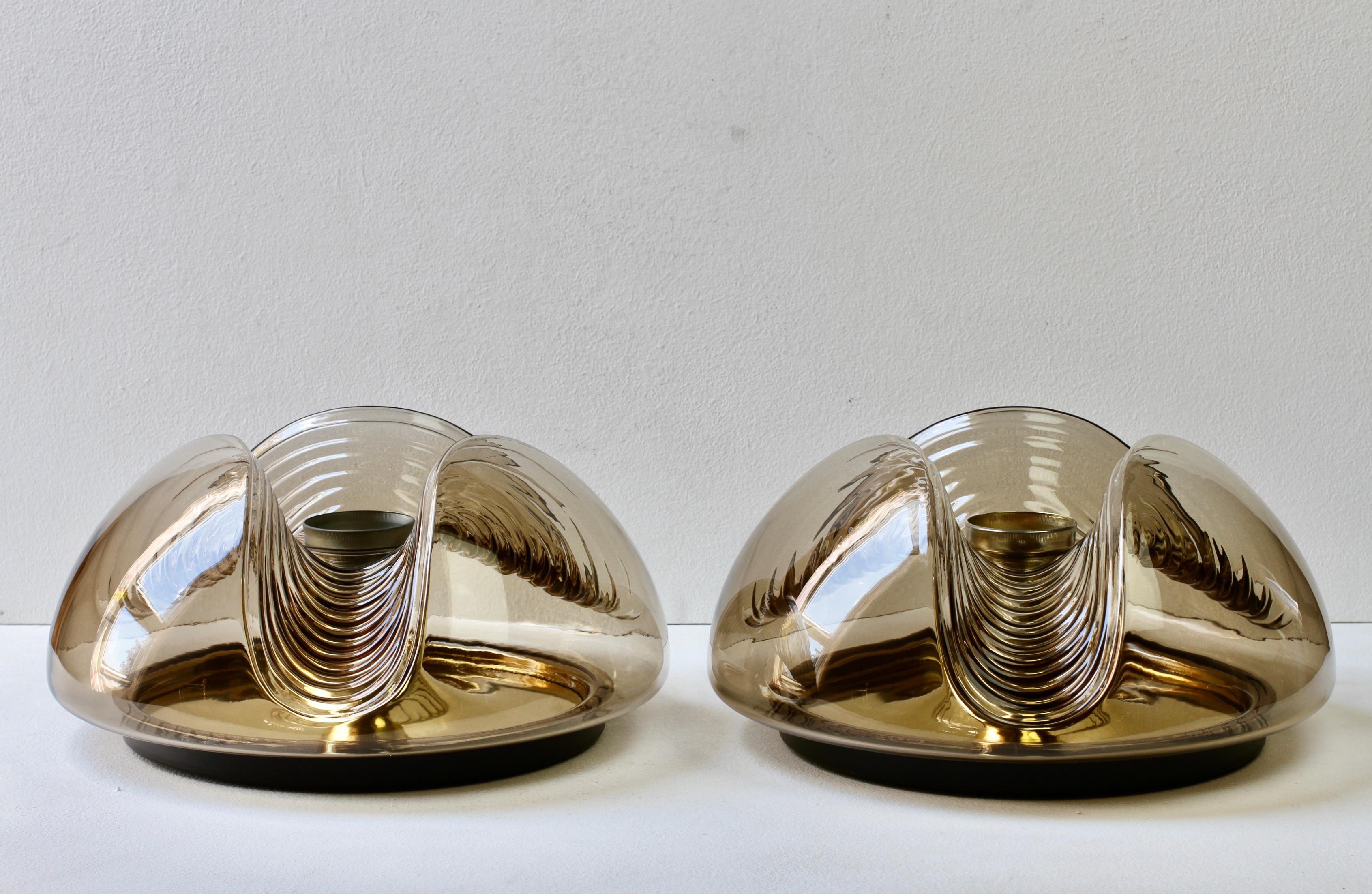 Metal Peill & Putzler Large Pair of 1970s Smoked Glass Biomorphic Wall Sconces Lights For Sale