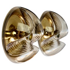 Peill & Putzler Grande paire d'appliques murales biomorphiques en verre fumé des années 1970 Lights