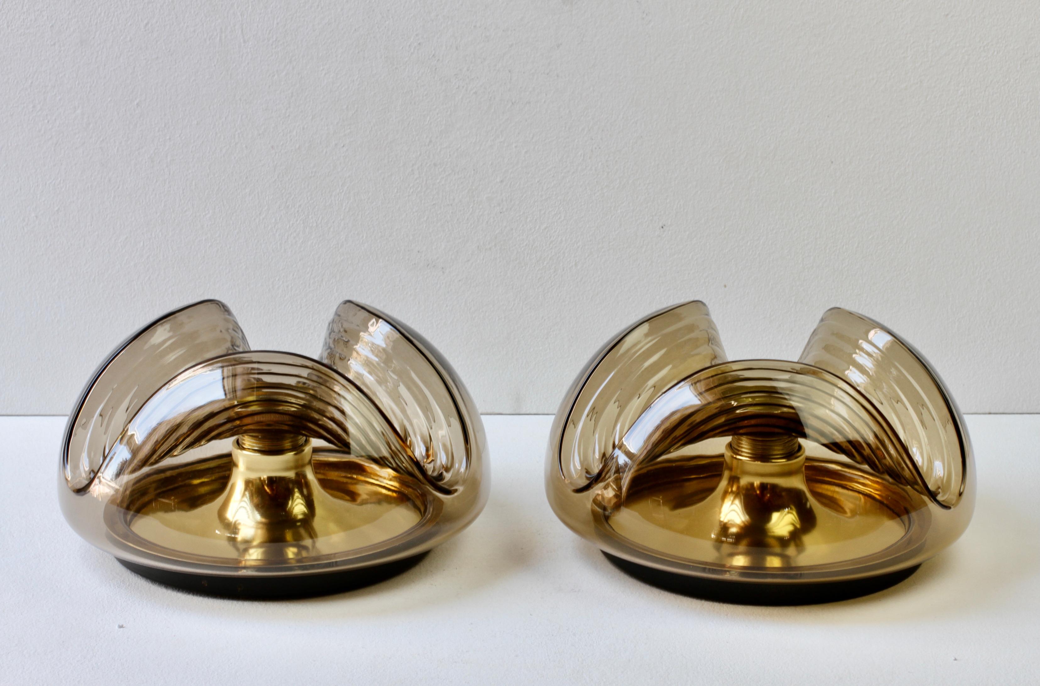 Peill & Putzler Pair of 1970s Smoked Glass Brass Biomorphic Wall Lights Sconces For Sale 1