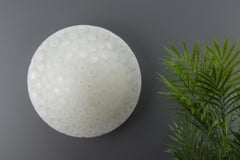 Peill & Putzler White Frosted Glass Flush Mount Ceiling or Wall Light, 1970s