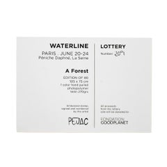 Pejac A Forest (Mini Print Lottery Edition)