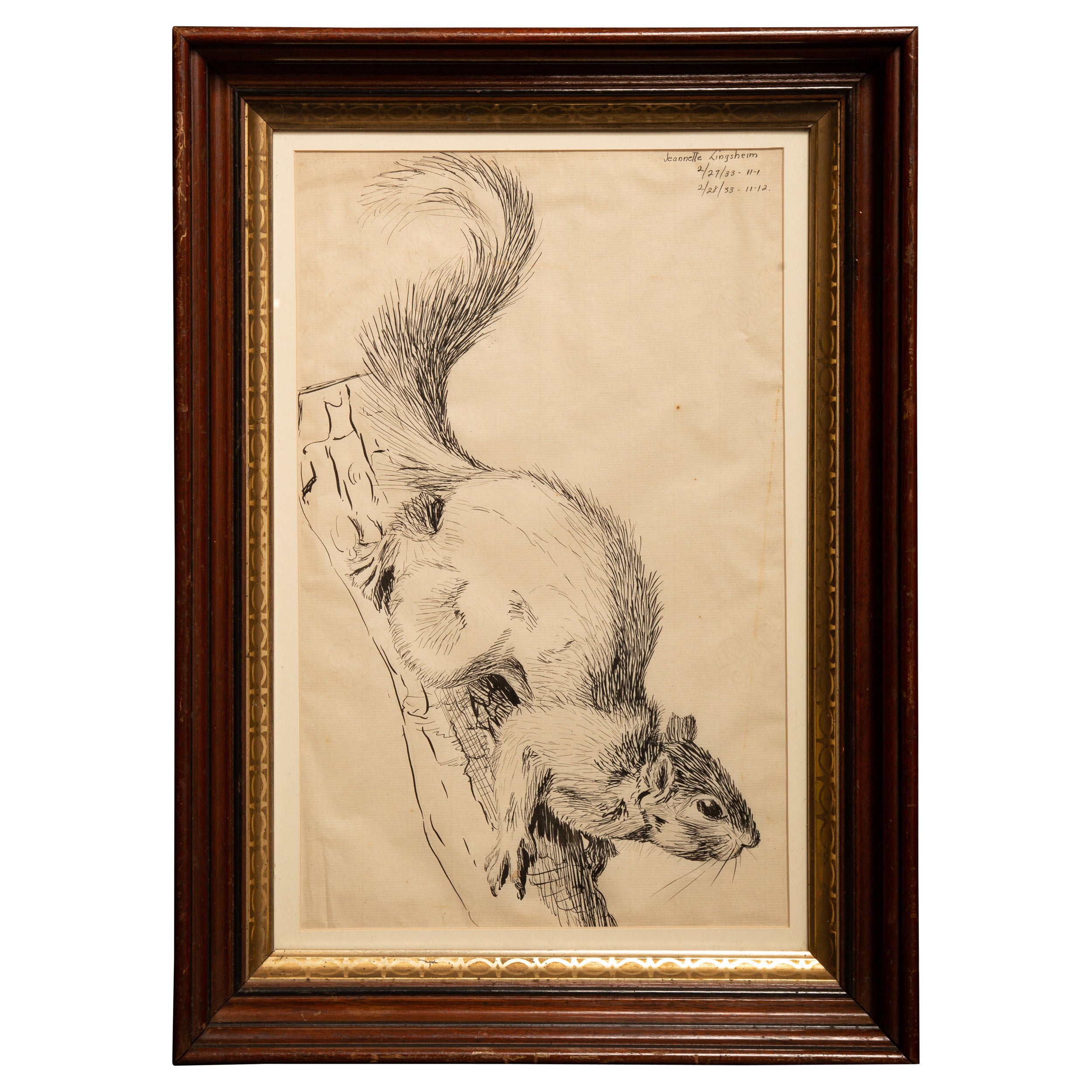 Pen and Ink Drawing of a Squirrel from 1933