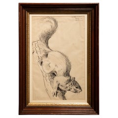 Pen and Ink Drawing of a Squirrel from 1933