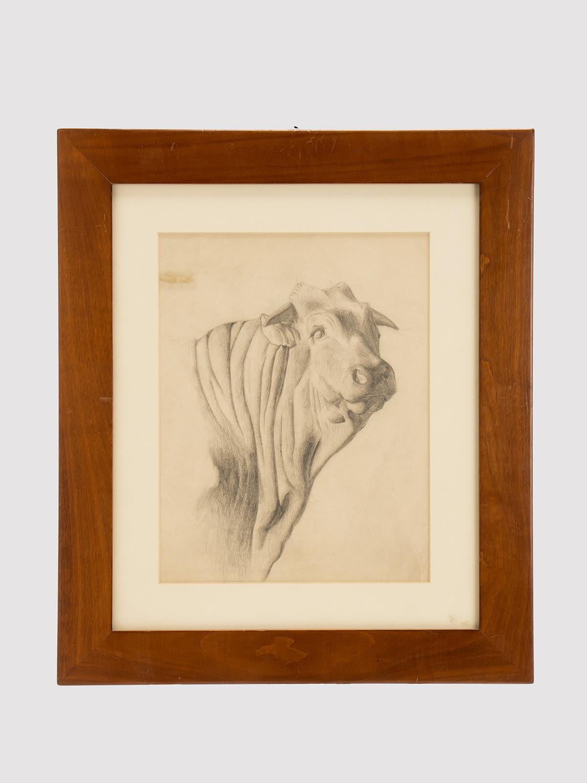 A pencil drawing on paper depicting the head of an ox. Solid cherry wood frame, polished and beeswaxed. Vienna, Austria circa 1920.