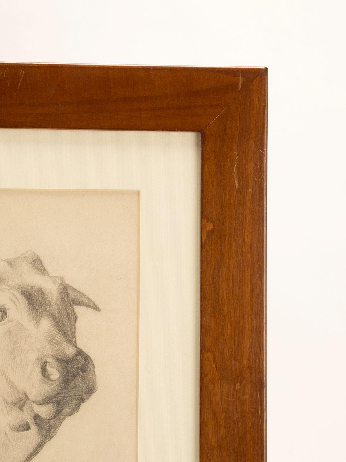 20th Century Pencil drawing depicting the head of an ox, cherry wood frame, Austria 1920. For Sale
