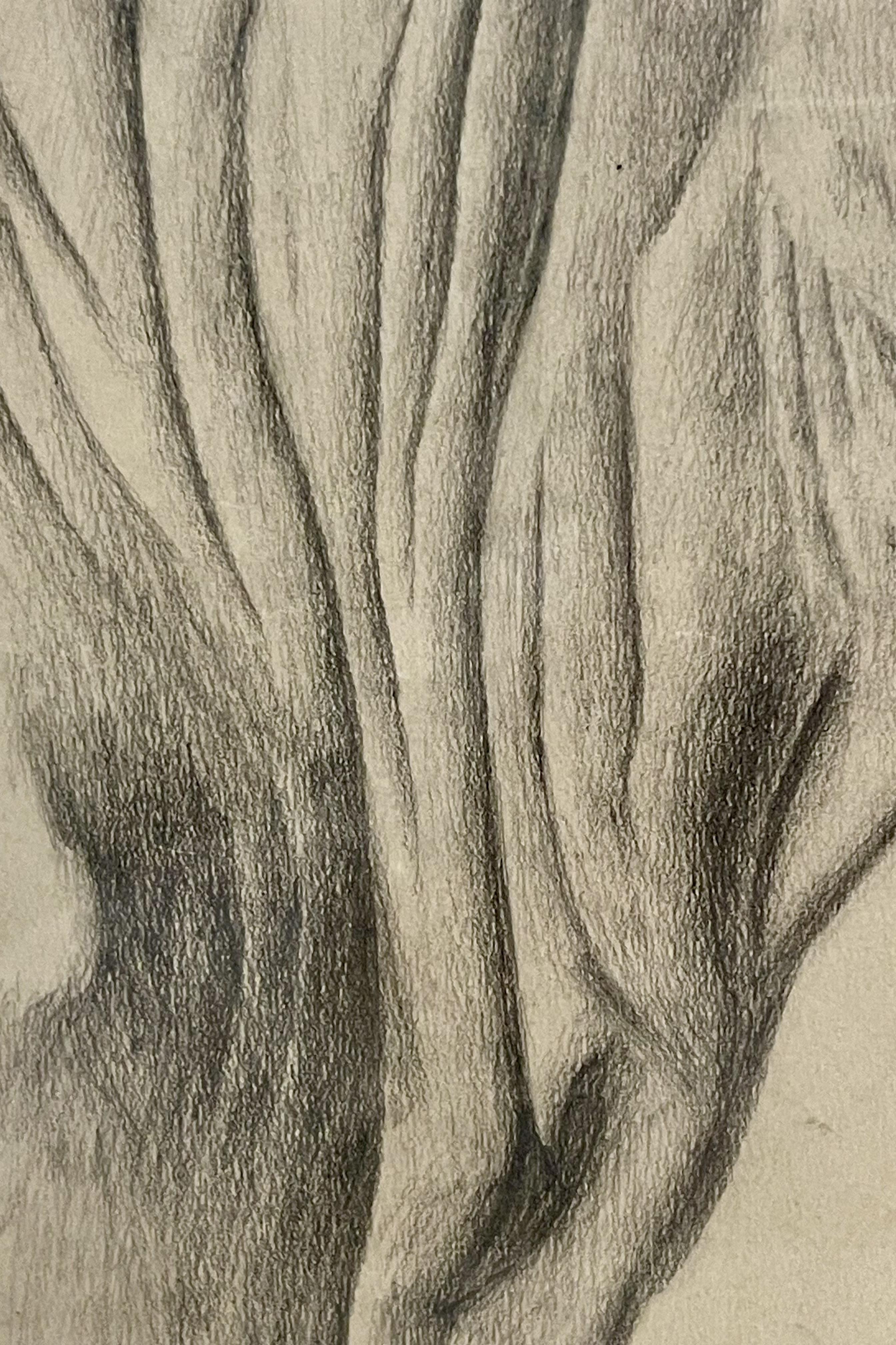 Pencil drawing depicting the head of an ox, cherry wood frame, Austria 1920. For Sale 1