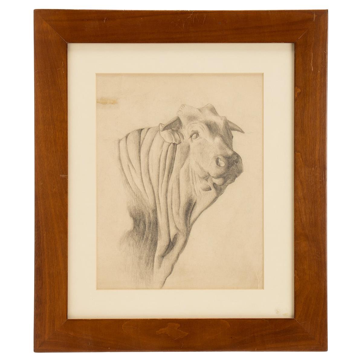 Pencil drawing depicting the head of an ox, cherry wood frame, Austria 1920. For Sale