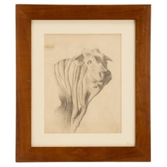Pencil drawing depicting the head of an ox, cherry wood frame, Austria 1920.