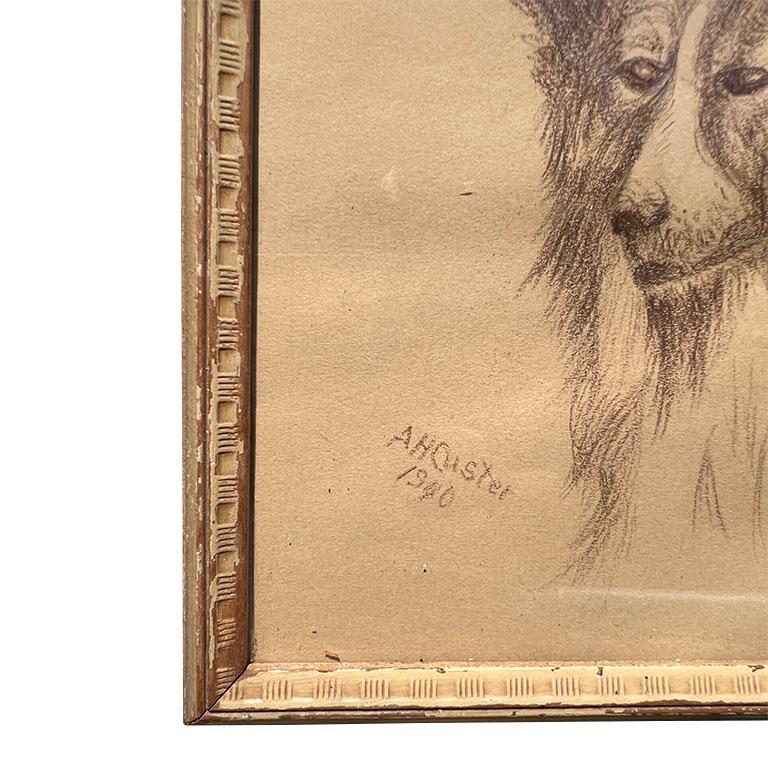 Dessin encadré d'un chien sur papier. Cette pièce représente le buste d'un Colli au crayon brun. L'œuvre est sur papier brun ou jaune et encadrée dans le cadre en bois d'origine avec vitre. Le cadre est d'un blanc laiteux et présente un motif Art