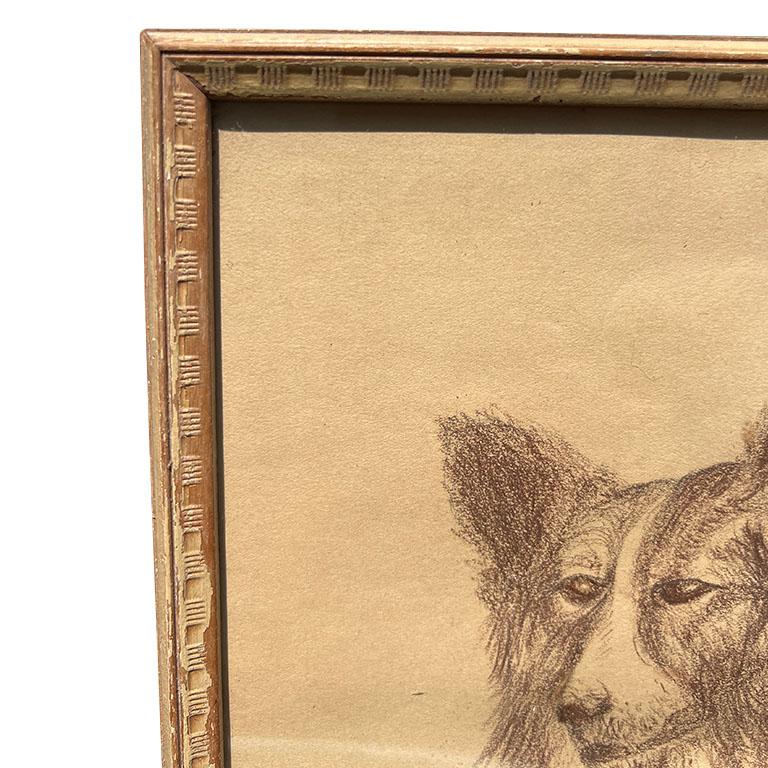 Artisanat Dessin au crayon d'un chien de collier sur papier et encadré dans un cadre en bois signé - 1940 en vente